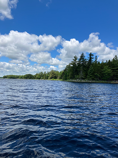 Hadley Lake shoreline.