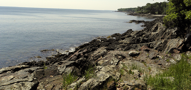 Shoreline Trail view at Camden Hills State Park, Maine.