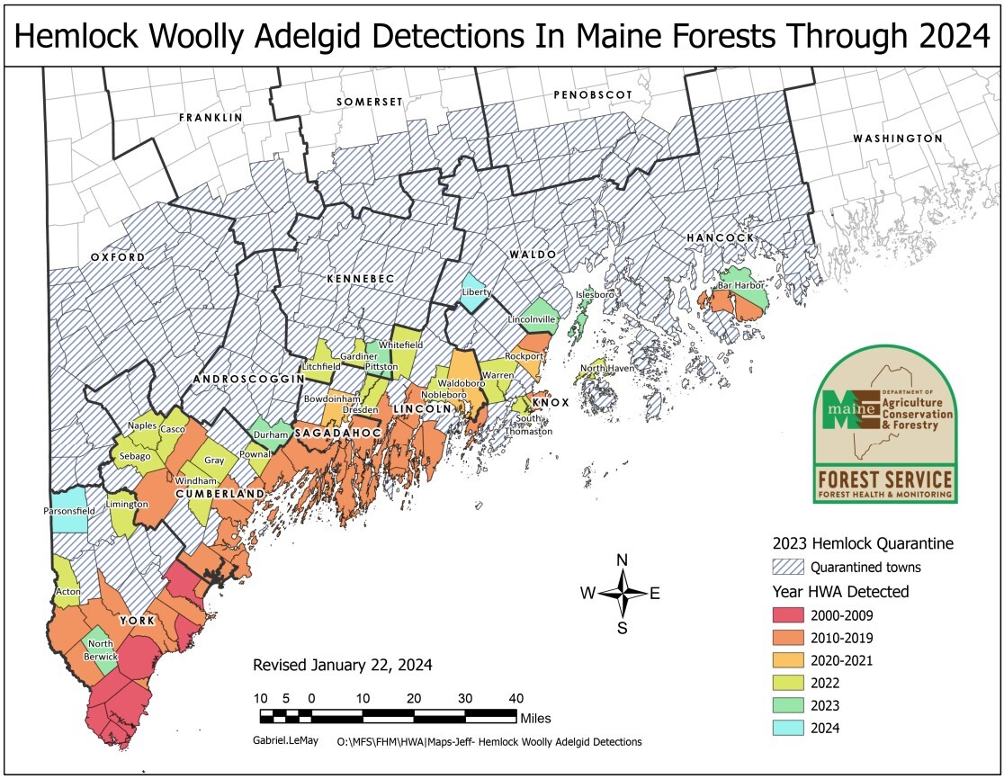 hemlock woolly adelgid detections by town in Maine through 2024