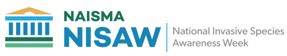 NISAW 2025 Logo