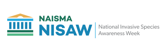 NISAW2025logo