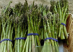Asparagus