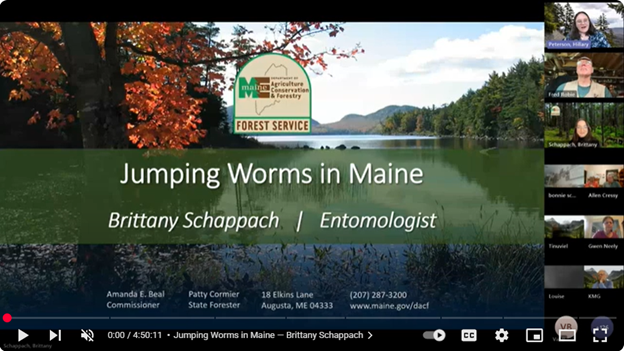 Jumping Worm Workshop