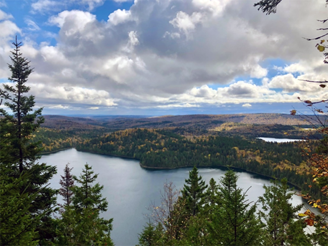 A view from the Black Mountain Trail leading to Deboullie Mountain.