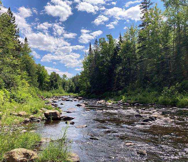 South Branch of the Dead River, South Branch Easement. Photo courtesy of Lynnette Batt, Trust for Public Land.