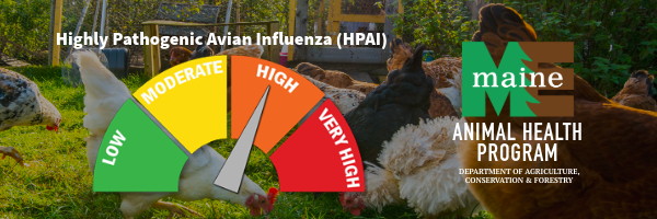 Animal Health HPAI in Maine