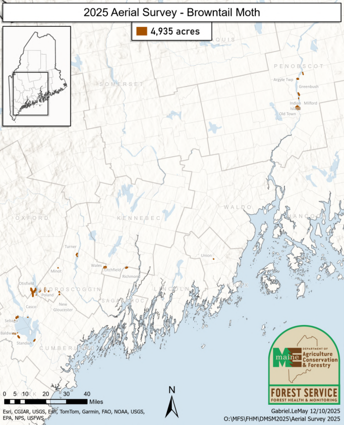 BTM 2025 aerial survey