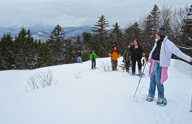 Snowshoeing group with forest and mountains in the background.