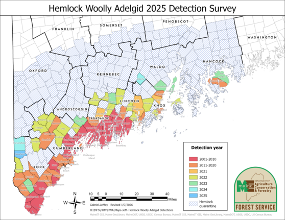 Map of Maine showing towns with hemlock woolly adelgid- 2025
