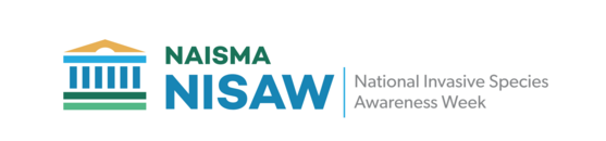 NISAW logo