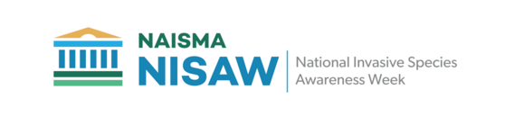 NISAW logo