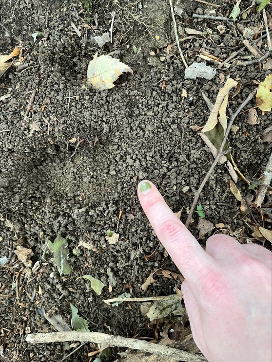 person pointing to soil