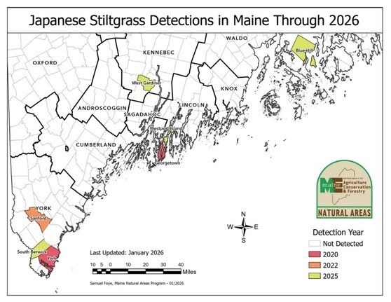 Distribution map of observed invasive stiltgrass locations.