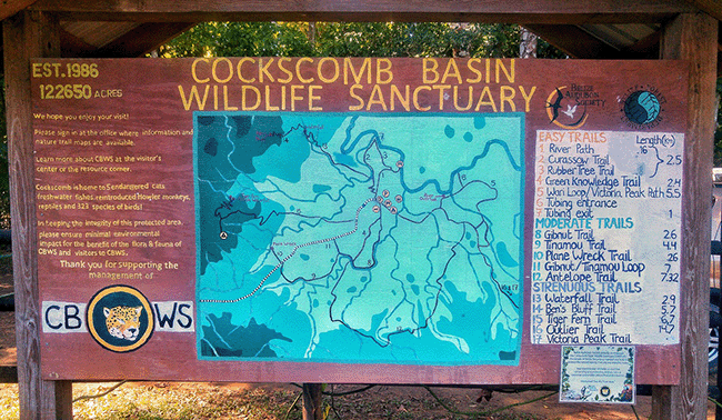 Wooden kiosk with a map of the hiking trails at Cockscomb Basin Wildlife Refuge.