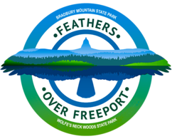 Feathers Over Freeport logo showing the silhouette of a raptor with forest, field and water within, in flight.