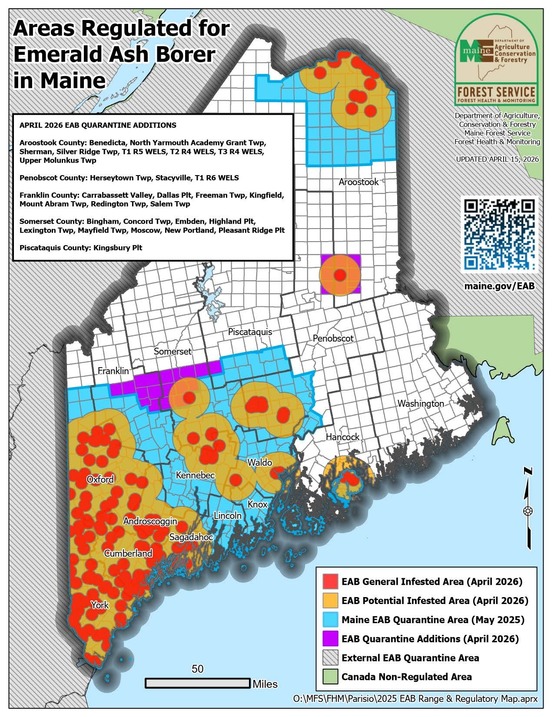 Emerald Ash borer quarantine
