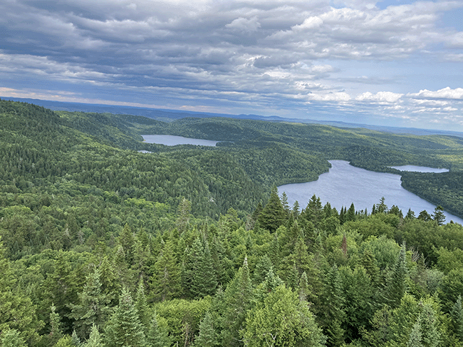 An aerial shot of the mountains, valleys and waterways that make up Deboullie Public Land.