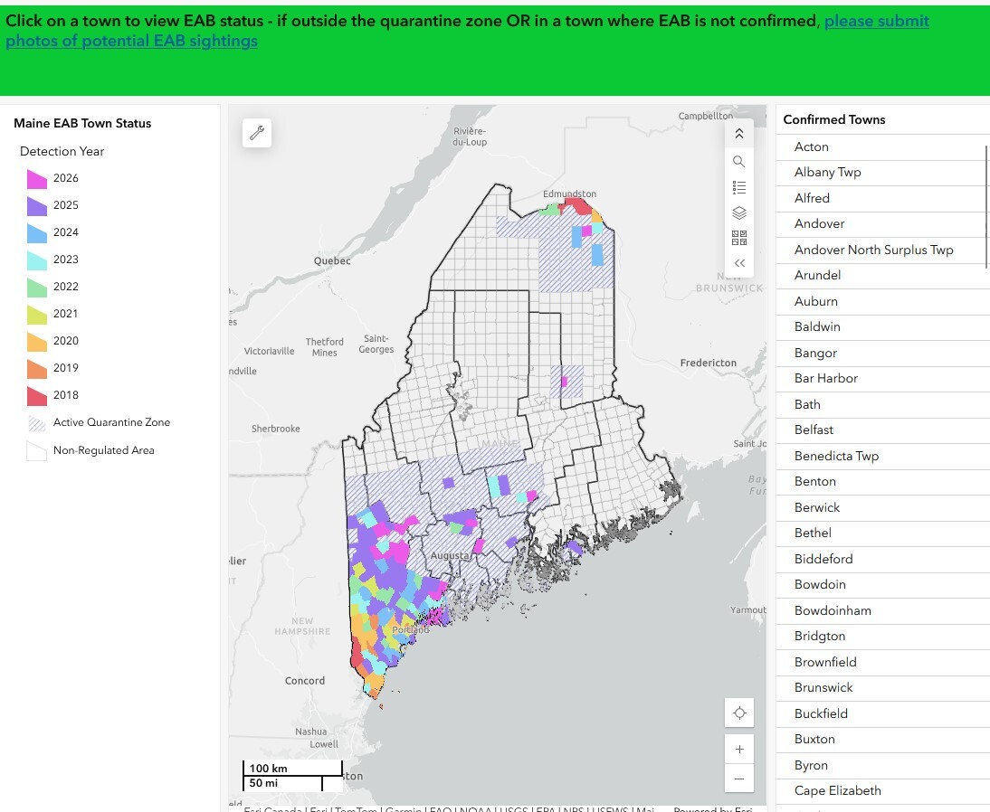 Emerald ash borer dashboard