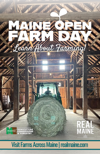 A farm tractor positions a round hay bale inside a post and beam barn. 