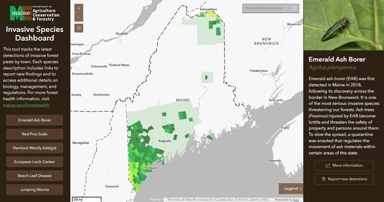 screenshot of forest pest dashboard