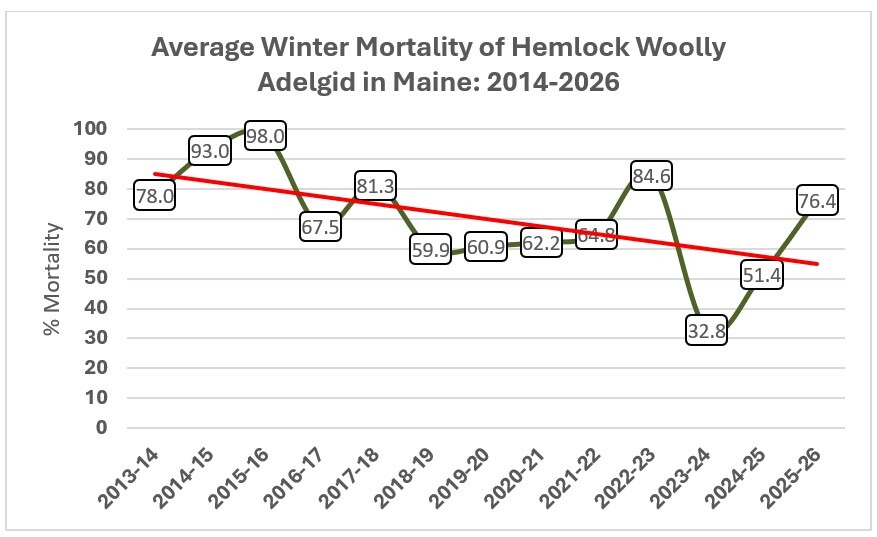 Graph of hemlock woolly adelgid mortality in Maine 