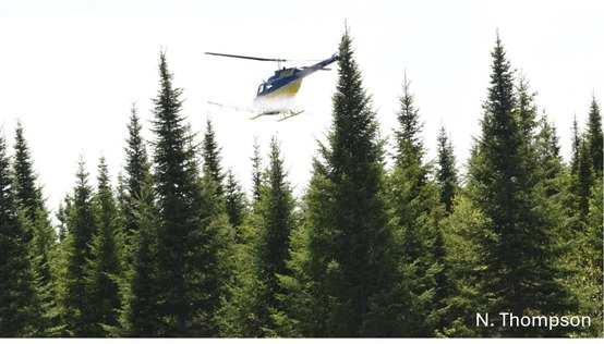A helicopter flying over a forest