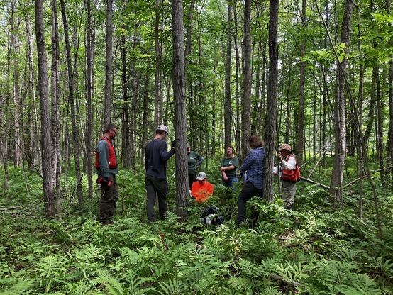 A group of people in the forest