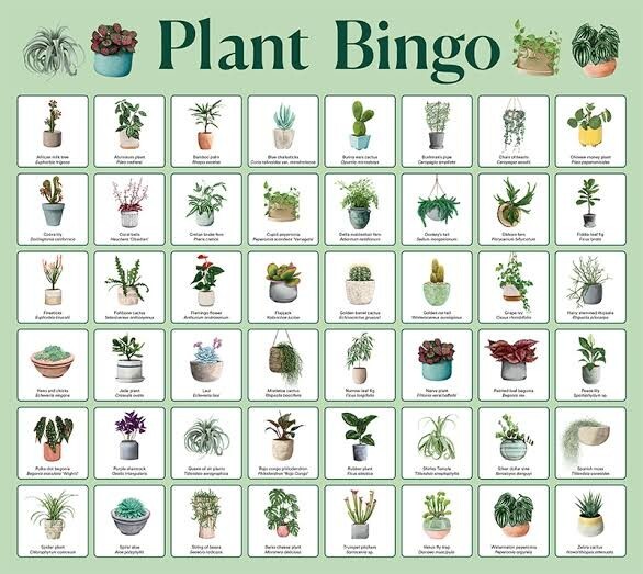 An example of a plant bingo card