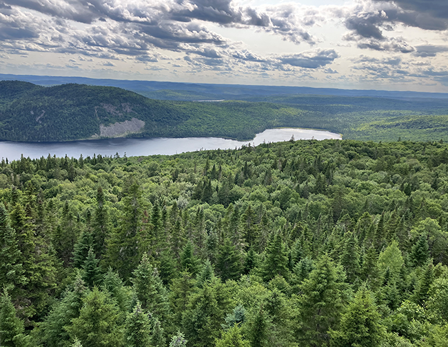 An aerial photo of the Deboullie Ecological Reserve showing old growth forest, a waterway, and mountains.
