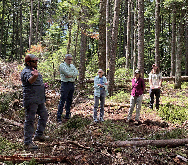 Mike Pounch leads a Late Successional and Old Growth Working Group on Bigelow Public Land.