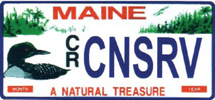 Maine conservation license plate that has a picture of a loon on it.
