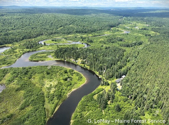 View of a river, forest and fields from above