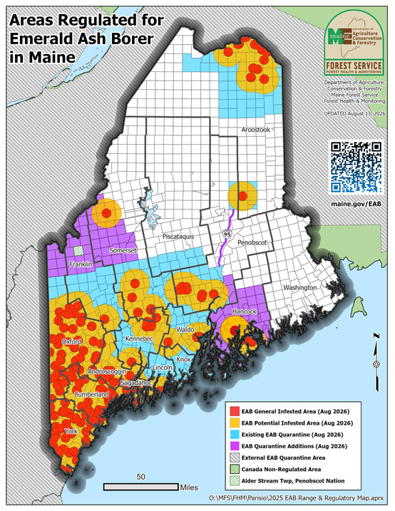 Map of Maine showing EAB locations and quarantine