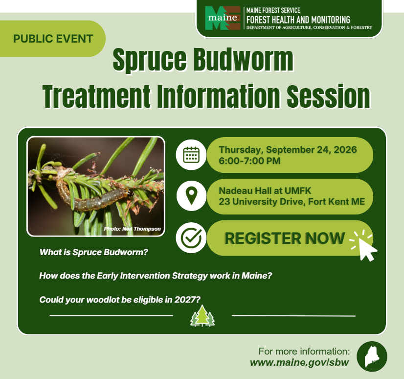 Spruce Budworm Treatment Information Session Flyer