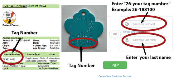 Dog Tag Example 2027