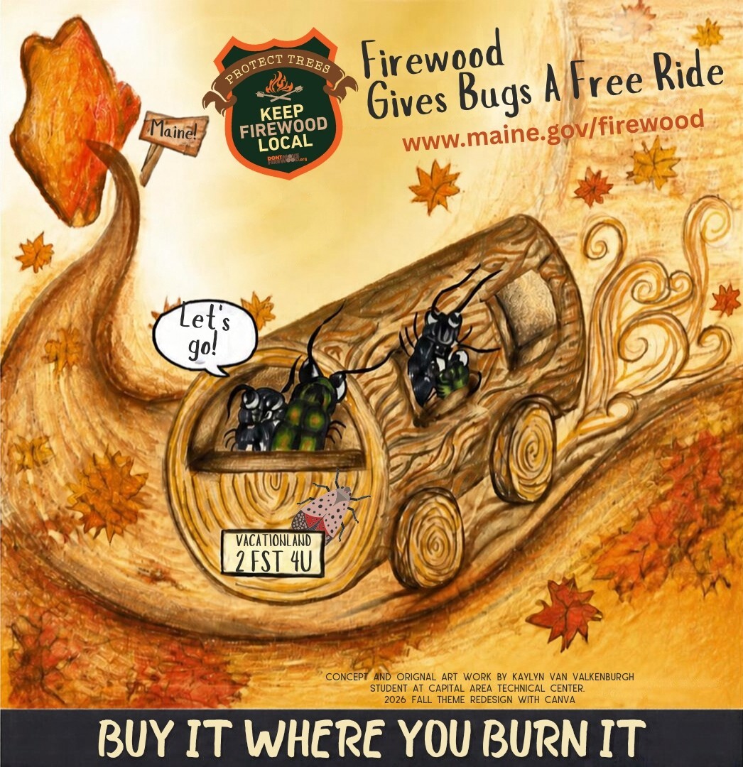Fall Bug Mobile Don't Move Firewood! 
