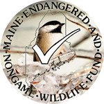 chickadee logo