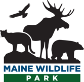 maine wildlife park