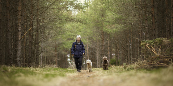 Woman walking with two dogs