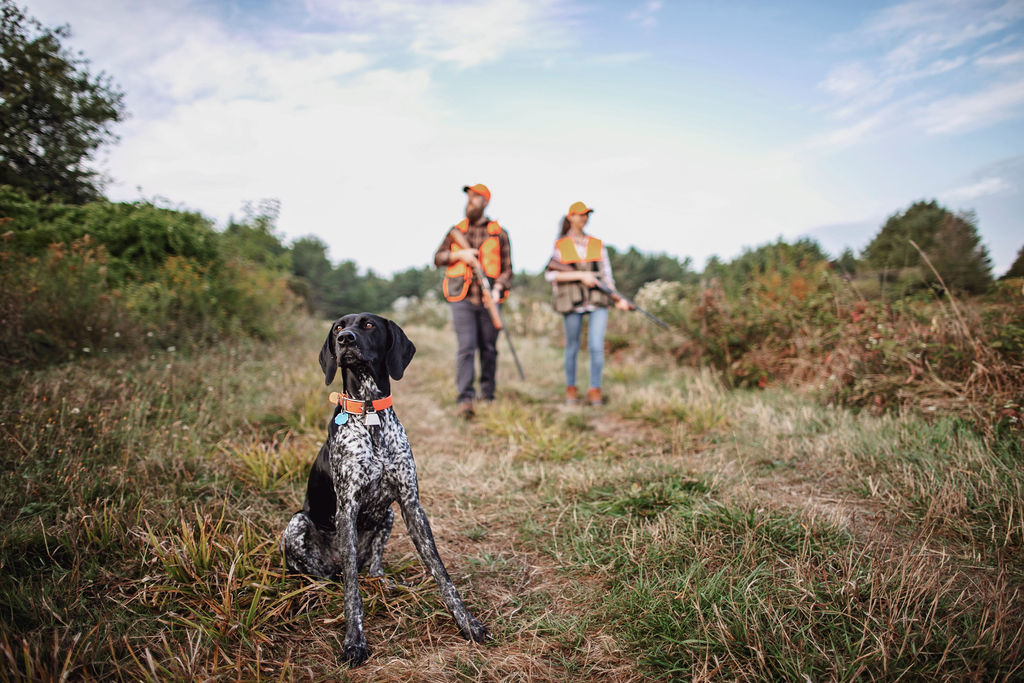 two people bird hunting with a dog