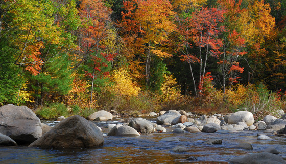 stream with fall foliage in background