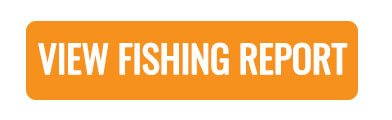 View fishing report button