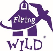 flying wild