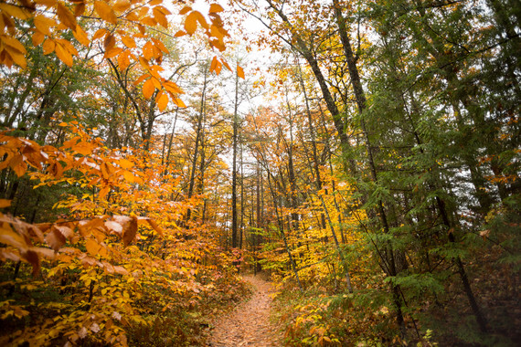 fall trail