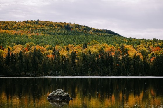 fall foliage reflection in lake