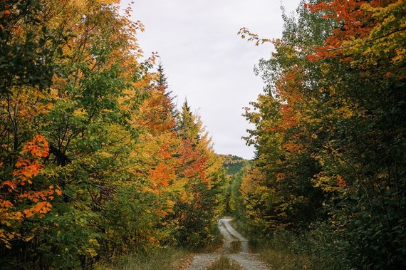 fall road