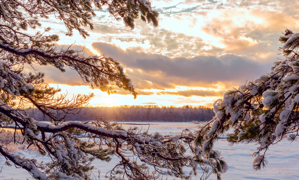 winter view in Maine