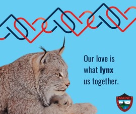 our love is what lynx us together