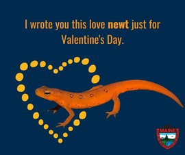 I wrote you this love newt just for Valentine's Day