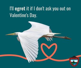 I'll egret it if I don't ask you out on Valentine's Day